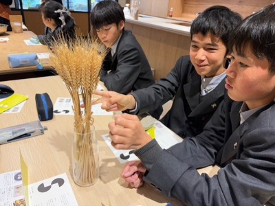 250305畑のごちそう1