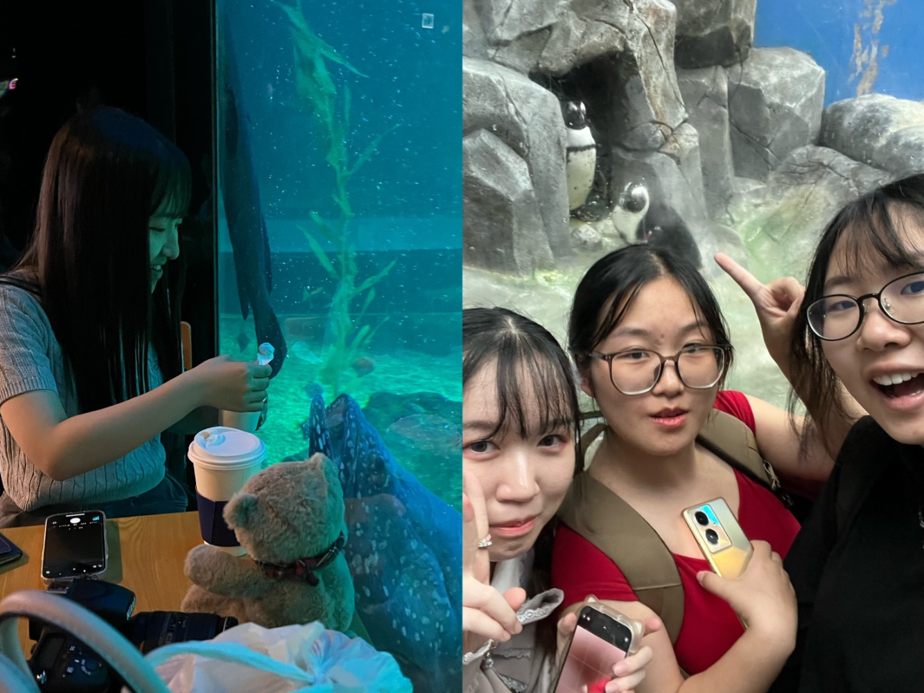 blog250530-03