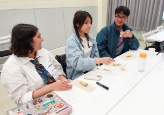 usami17_20250618