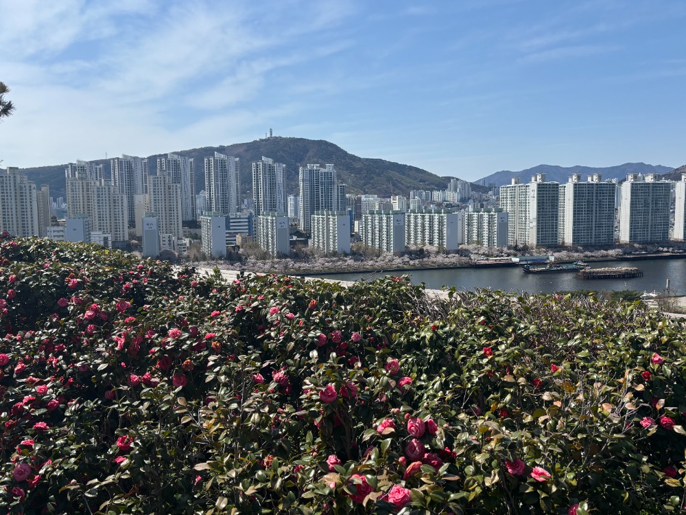 blog250630-07