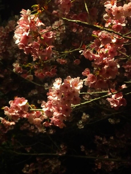 blog250708-01