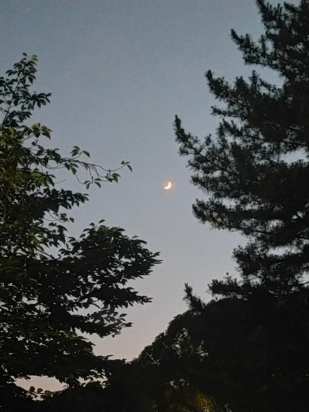 blog250708-08