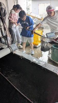 ozawa_wakayama02_20250718