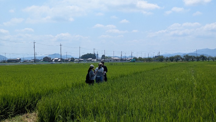 ozawa01_20250724