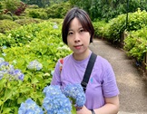 sato
