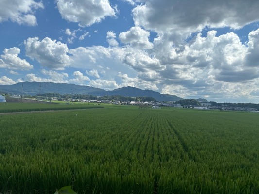 harimoto02_20250801