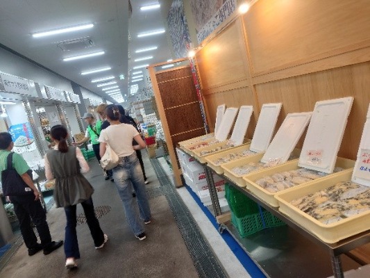 kimura01_20251008
