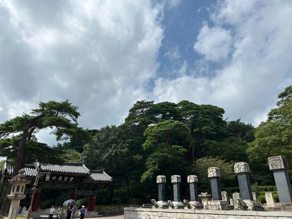 blog251031-3