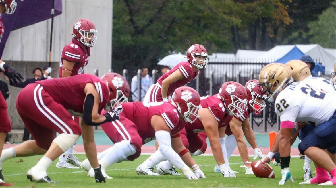 project-activity07PANTHERS06