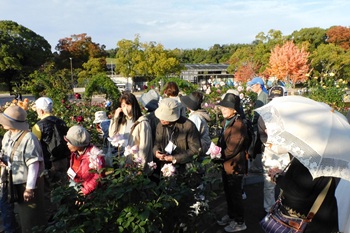 皆さんは、写真を撮ったり、花の香を楽しんでいました。