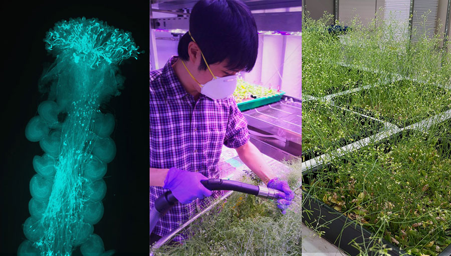 研究者の”今”を追う（１）：元村 一基先生