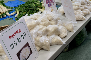 野路の方が育てたお米