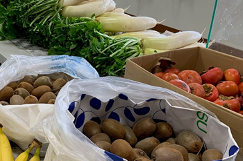 採れたてのキウイ、柿、大根