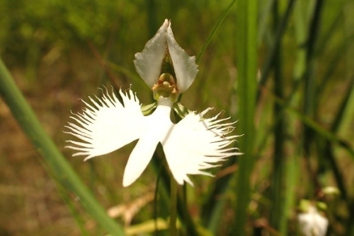 rclub/imge20260130 a_zenbun01