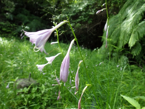 rclub/imge20260130 a_zenbun02