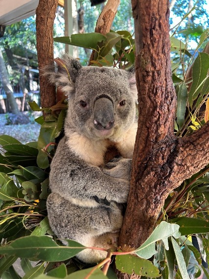 topics & events_study_abroad_7