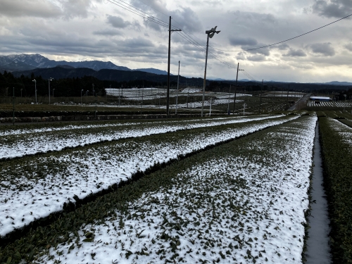 rclub/imge20260428 d_int03