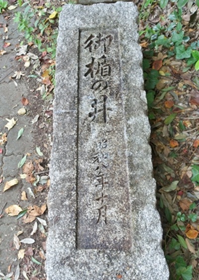 禁衛隊Ⅸ4