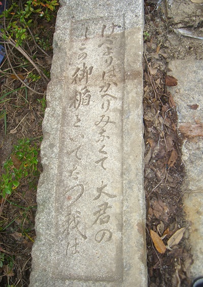 禁衛隊Ⅸ5