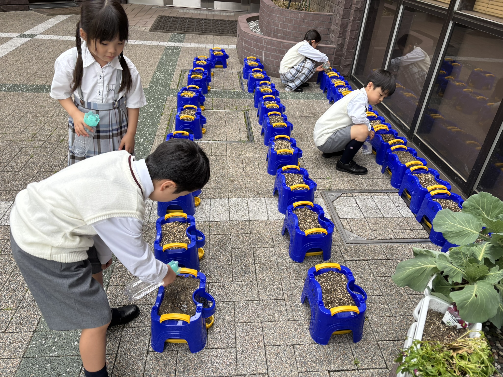 primary2/2026mari/ 24992