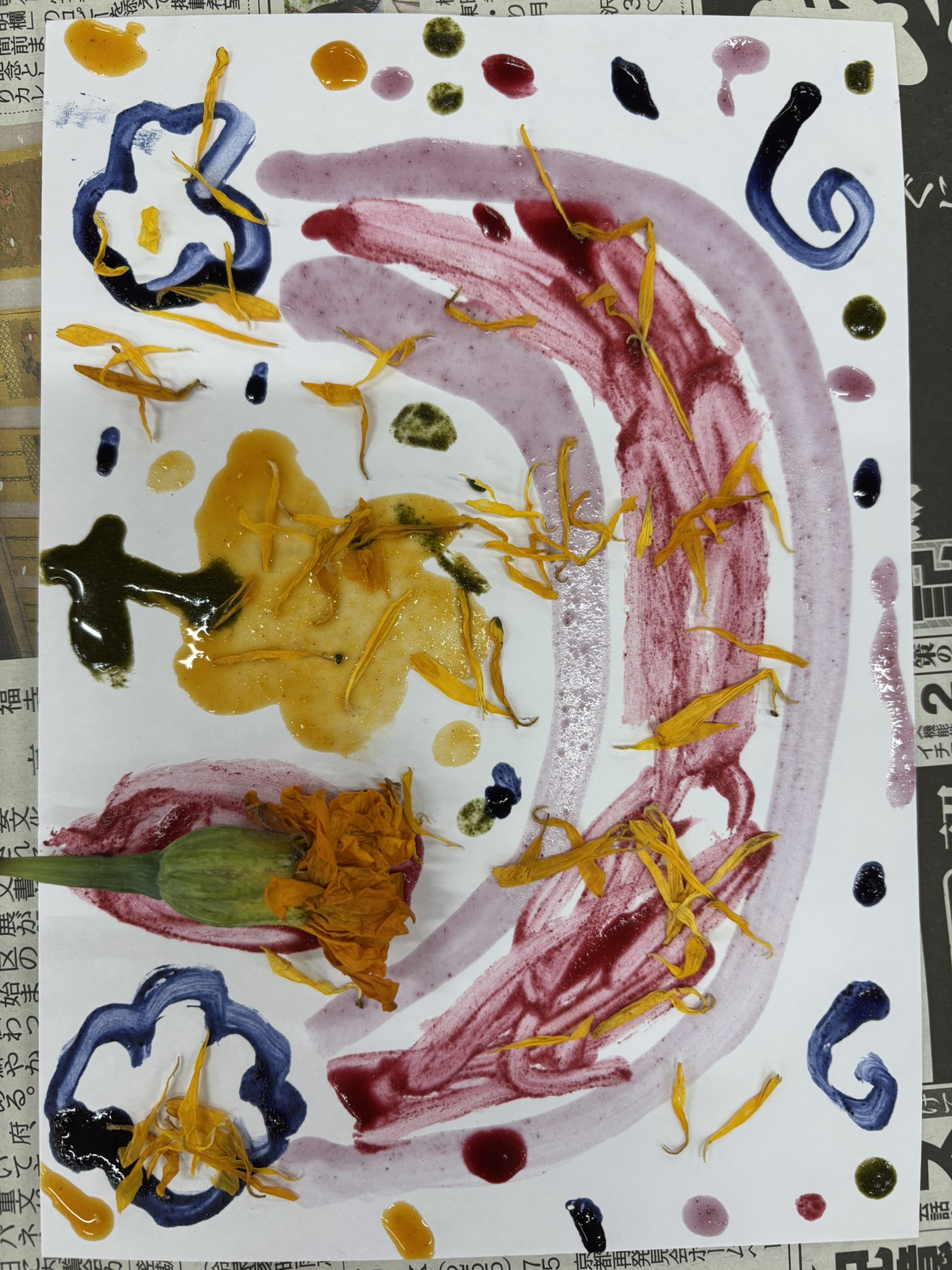 primary2/2026marigold/ 1