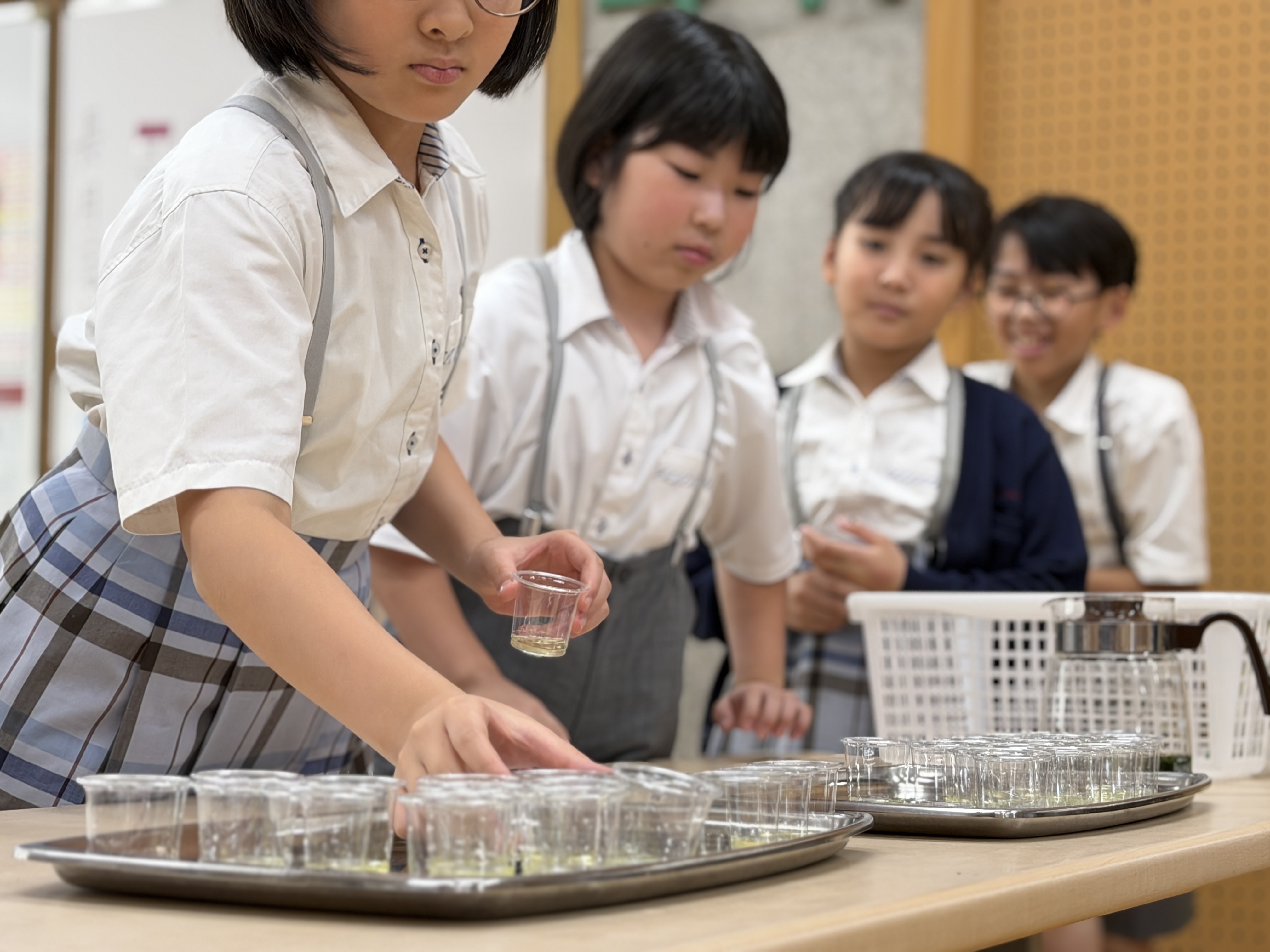 primary2/g4tea/ 1