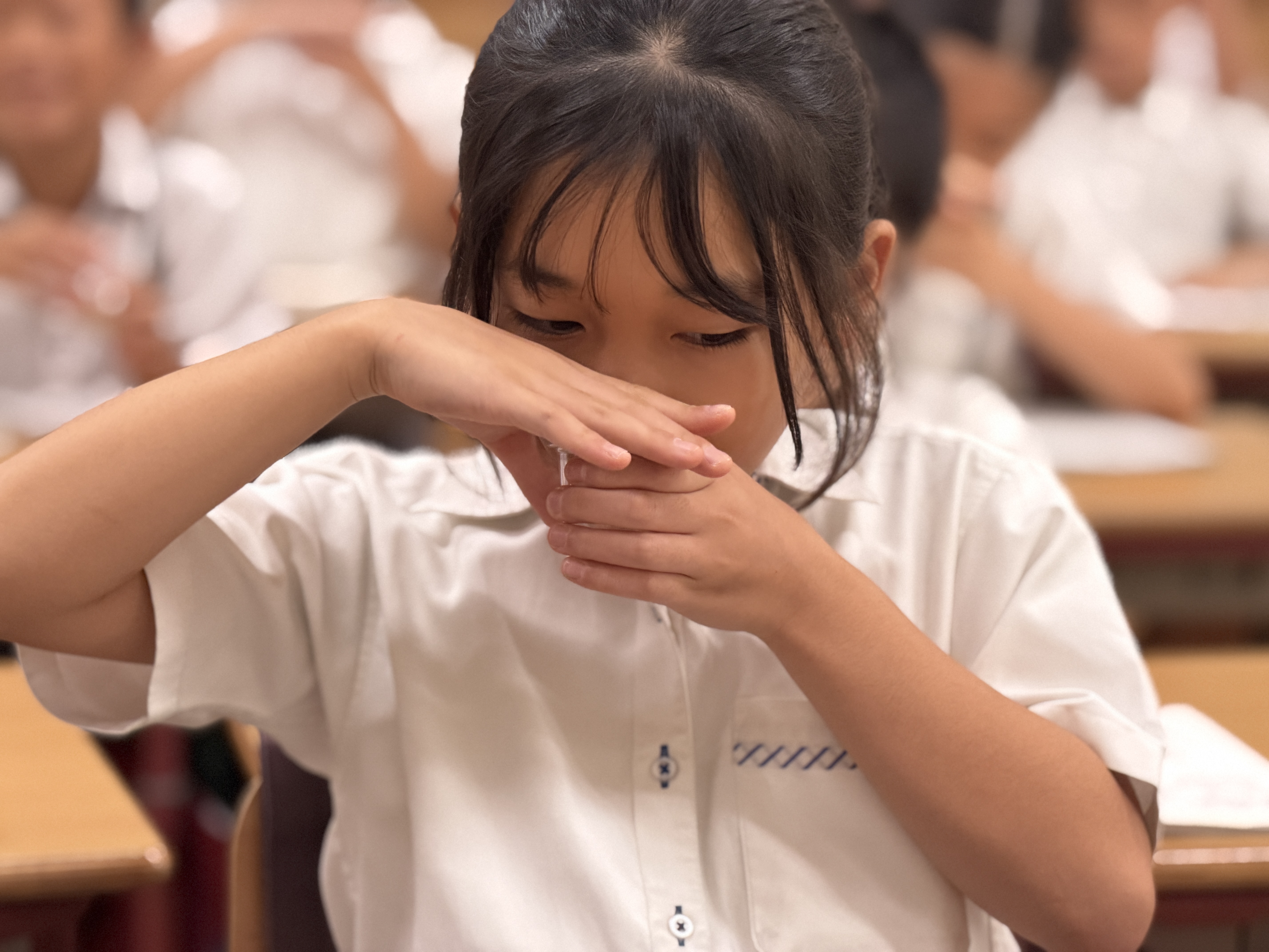 primary2/g4tea/ 1