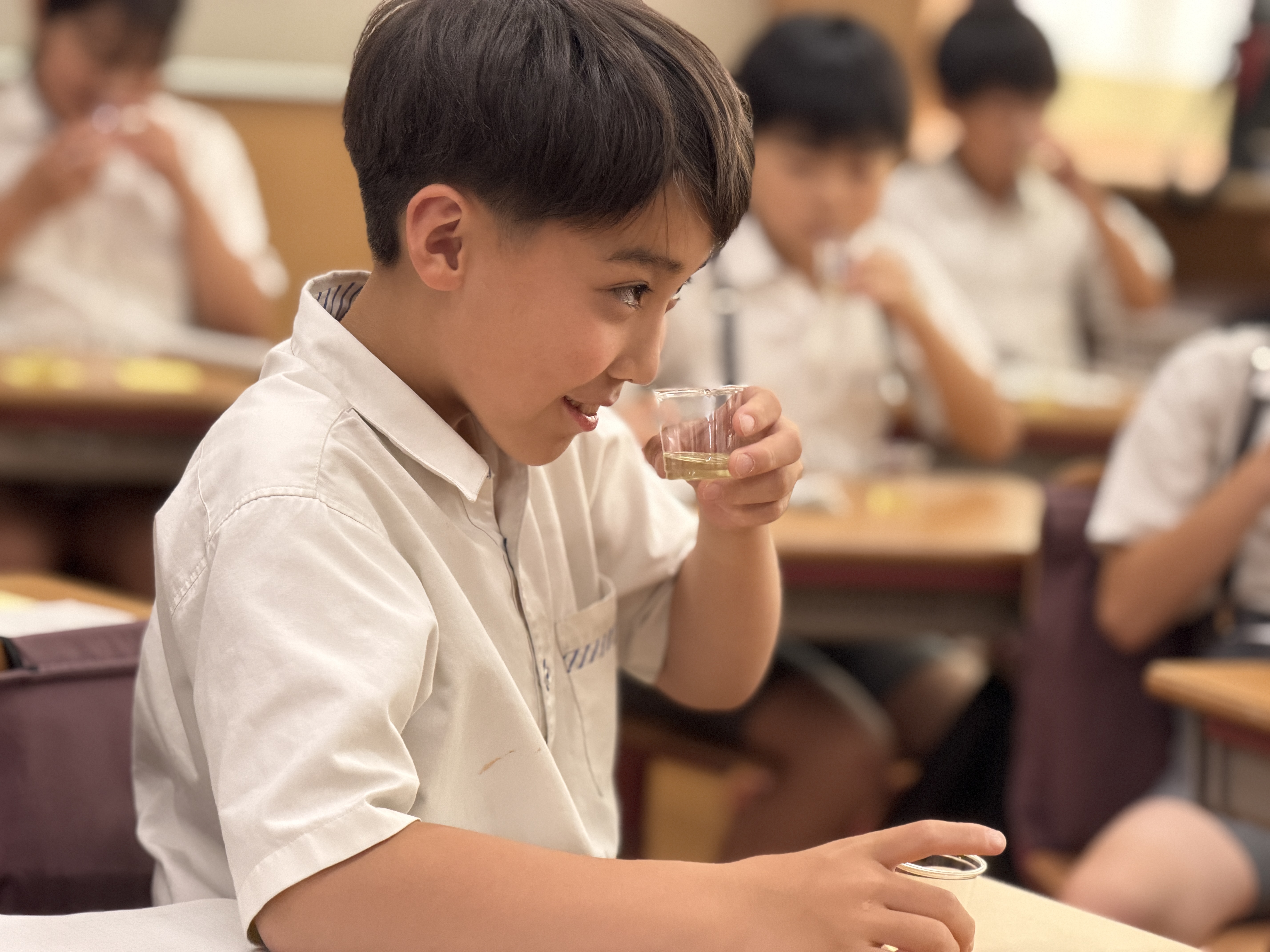 primary2/g4tea/ 1