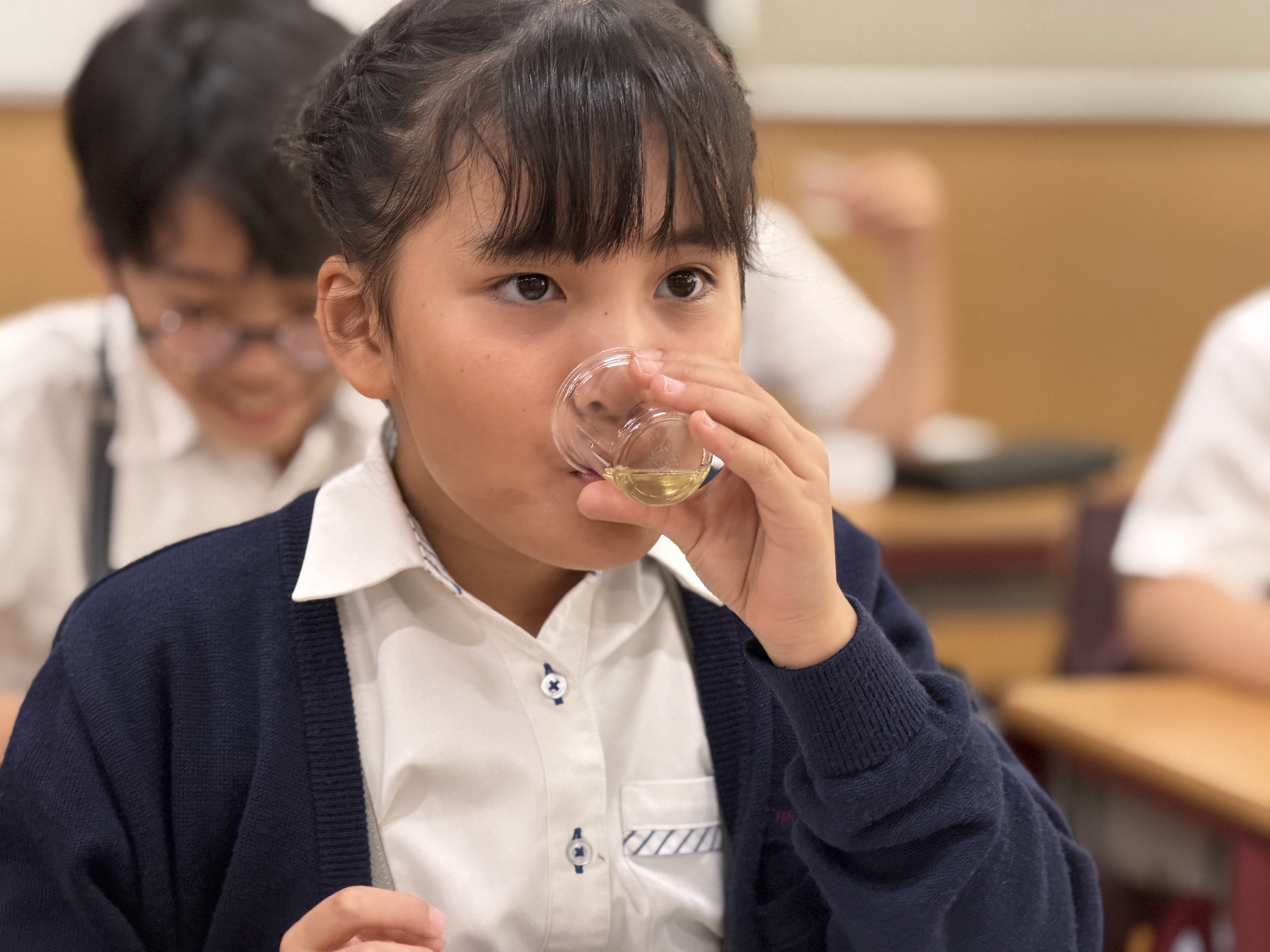 primary2/g4tea/ 1