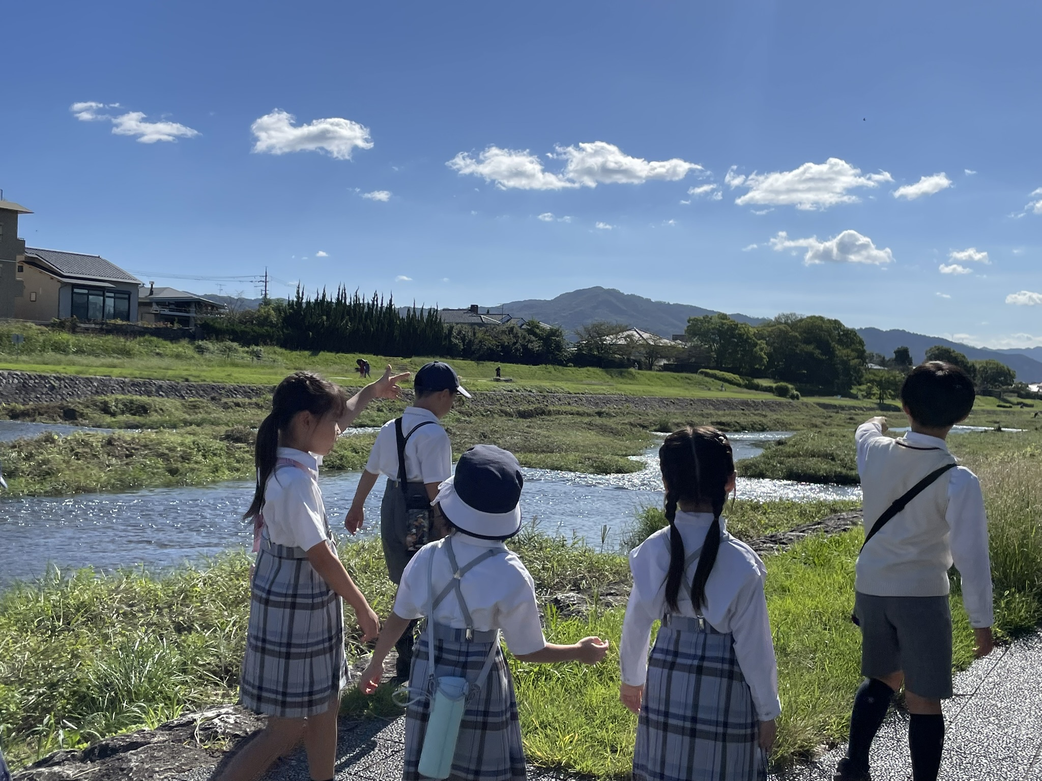 primary2/2026machi/ machitanken01