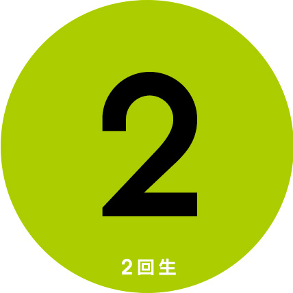 2回生
