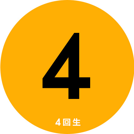 4回生