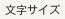 文字サイズ