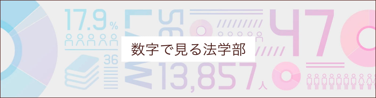 数字で見る法学部