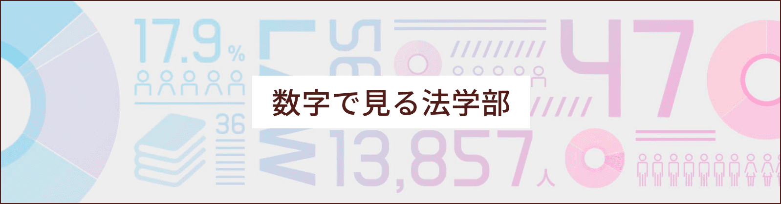 数字で見る法学部