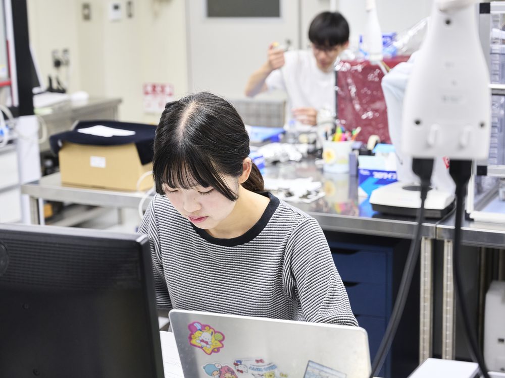 A student organizing data on a laptop