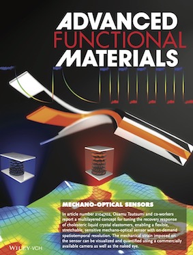 Frontispiece of Advanced Functional Materials