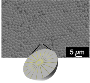Technology for controlling molecular alignment in polymers: figure 1