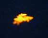 Luminescent liquid-crystalline Au(I) complexes: controlling luminescence through liquid-crystal alignment, figure 3
