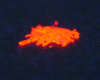 Luminescent liquid-crystalline Au(I) complexes: controlling luminescence through liquid-crystal alignment, figure 5