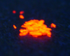 Luminescent liquid-crystalline Au(I) complexes: controlling luminescence through liquid-crystal alignment, figure 6