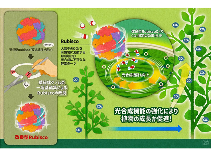 図