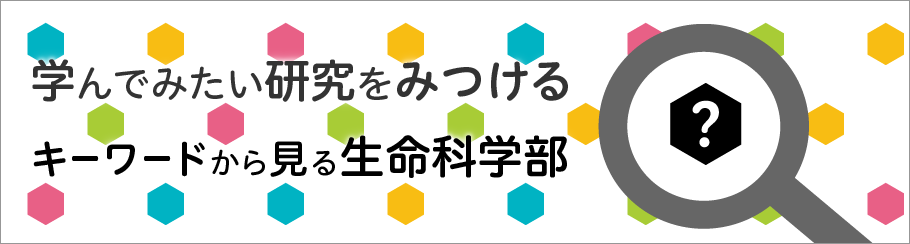 学んでみたい研究をみつける｜キーワードから見る生命科学部