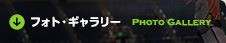 フォト・ギャラリー