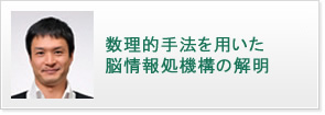 数理的手法を用いた脳情報処機構の解明 