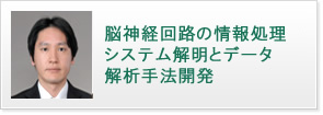 脳神経回路の情報処理システム解明とデータ解析手法開発