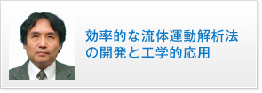 効率的な流体運動解析法の開発と工学的応用