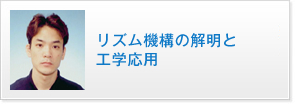 リズム機構の解明と工学応用