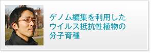 ゲノム編集を利用したウイルス抵抗性植物の分子育種