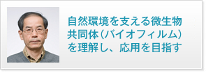 自然環境を支える微生物共同体（バイオフィルム）を理解し、応用を目指す 